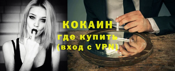 дмт Пересвет
