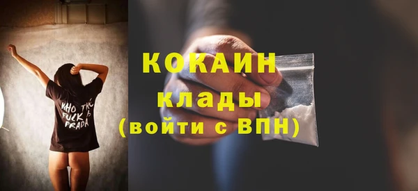 дмт Осташков