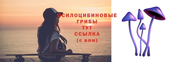 твердый Дубовка