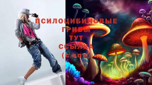 мдма Осинники