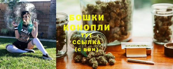 дмт Осташков