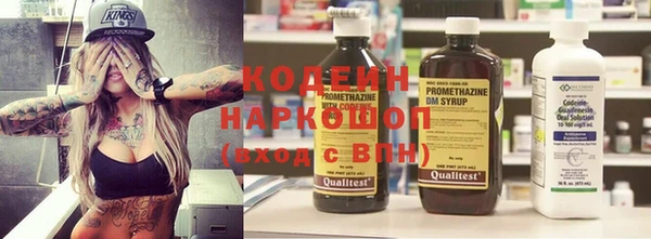 дмт Осташков