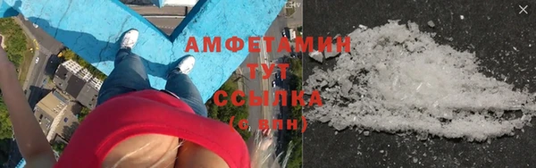 прущие грибы Дрезна