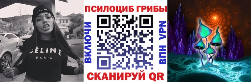 Псилоцибиновые грибы GOLDEN TEACHER  OMG ссылки  Курчалой 