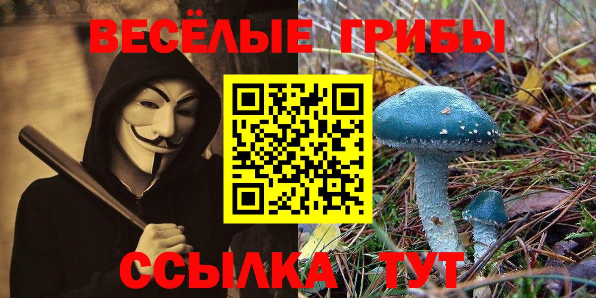 Курчалой  Псилоцибиновые грибы мухоморы  Вход с VPN 