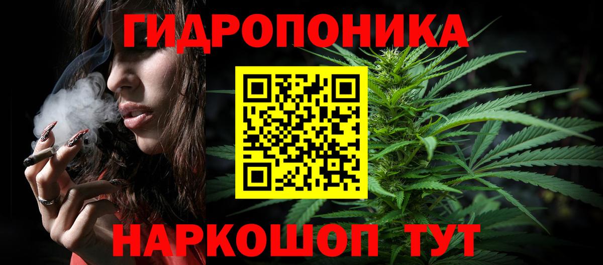 Конопля тримм Курчалой